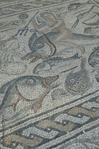 Roman Mosaic floor with images of fish
