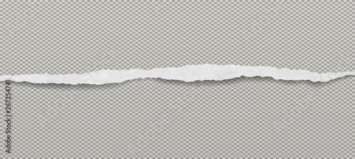 Torn horizontal white paper strip is on grey rectangle background. Vector illustration