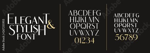 vector illustration. Stylish elegant vector composite font. set of letters english