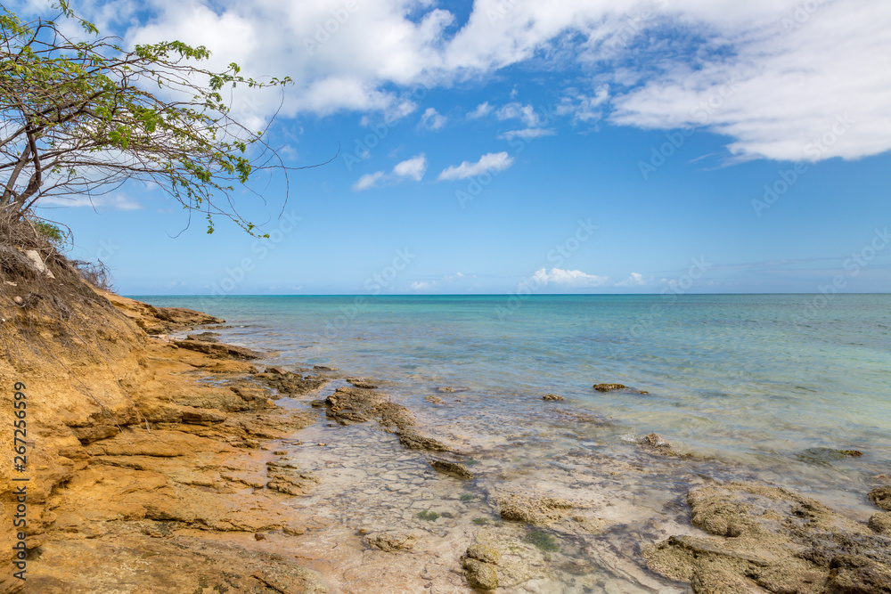 A rugged coastal landscape on the Caribbean island of Antigua A rugged coastal landscape on the Caribbean island of Antigua