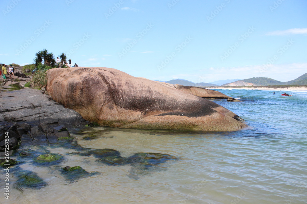 Fototapeta premium Florianópolis