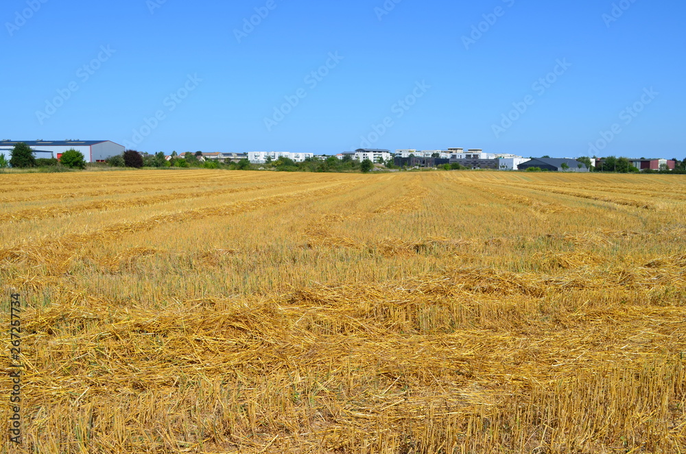 La campagne au porte de la ville de Caen (Normandie - France)