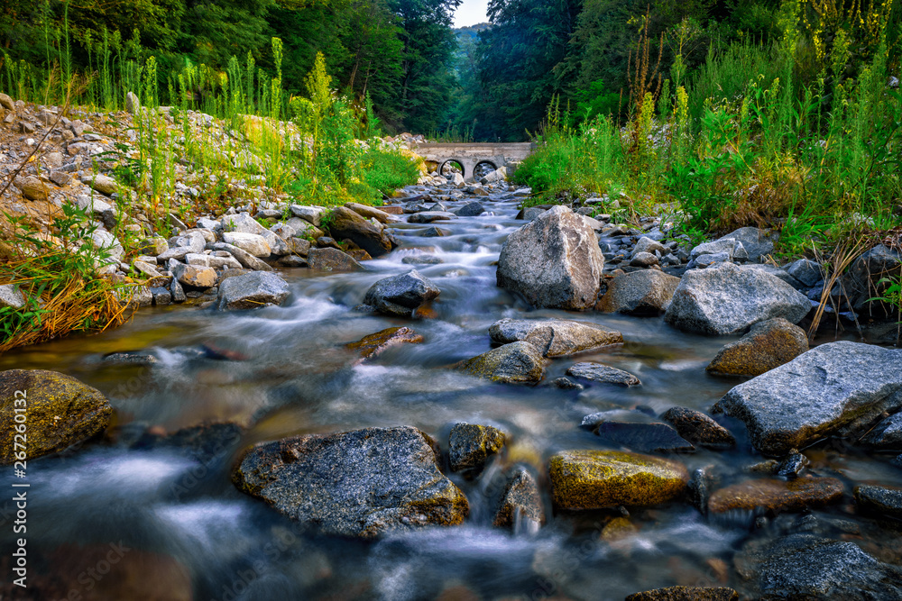 Stream in the forest Stream in the forest