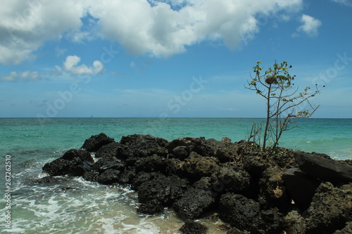 Fototapeta Naklejka Na Ścianę i Meble -  paysages de la mer caraibes