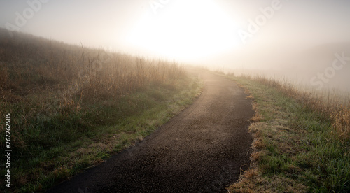 Path into the Fog