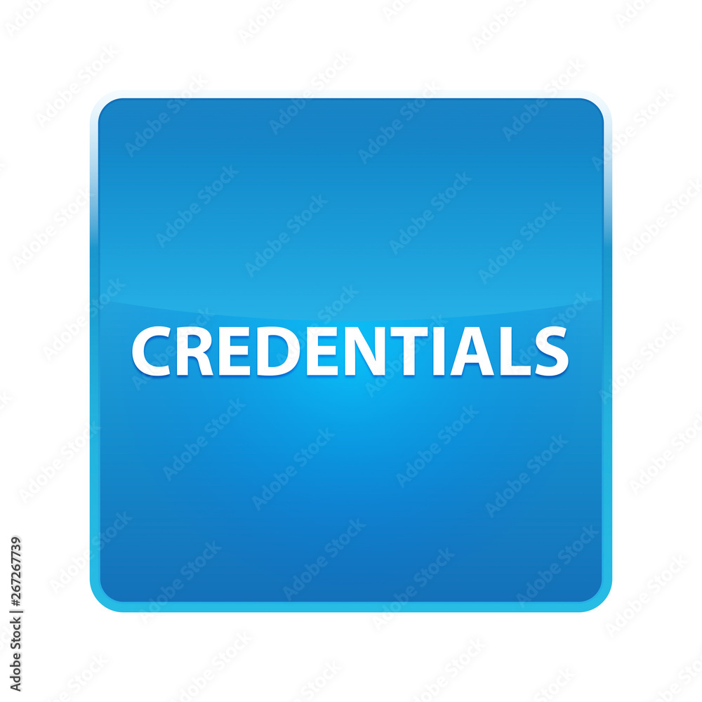 Credentials shiny blue square button Credentials shiny blue square button