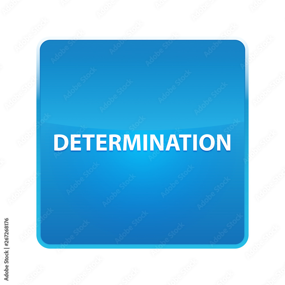 Determination shiny blue square button Determination shiny blue square button