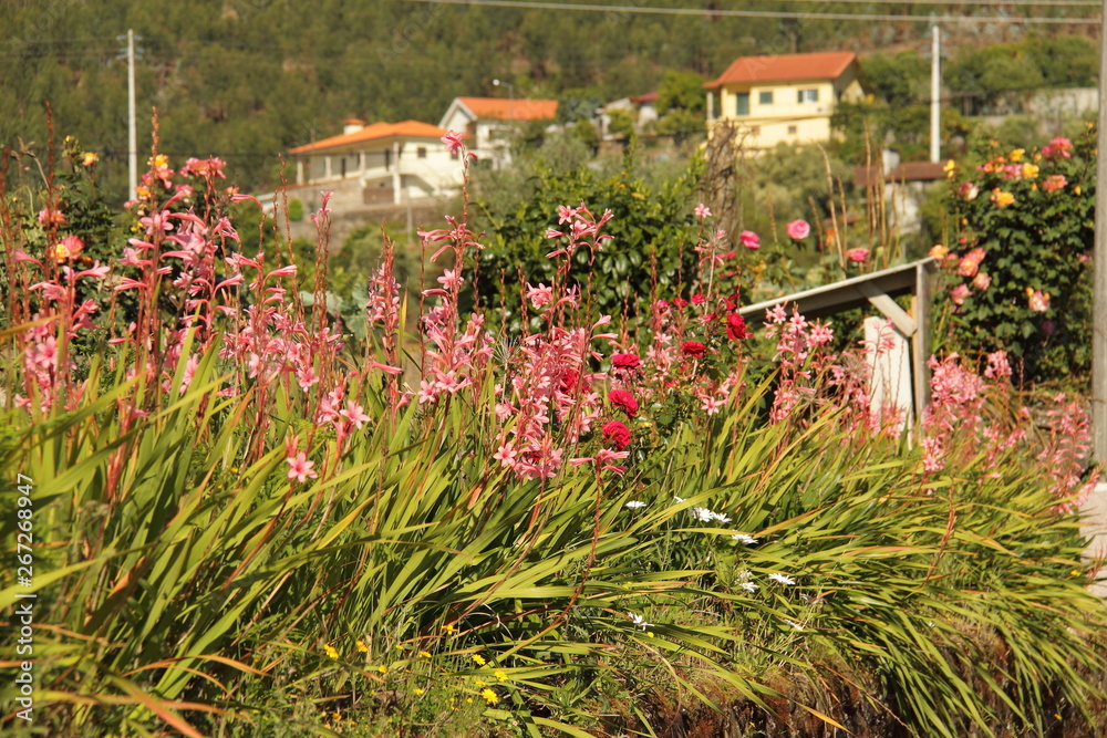 Typical Portugal landscape, sunny spring day around portuguese villages 