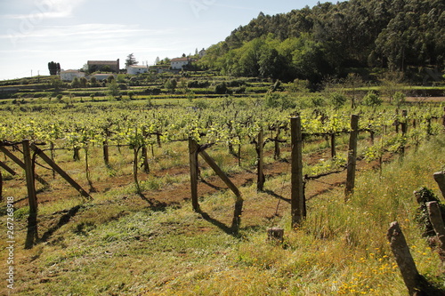 Typical Portugal landscape, sunny spring day around portuguese villages 