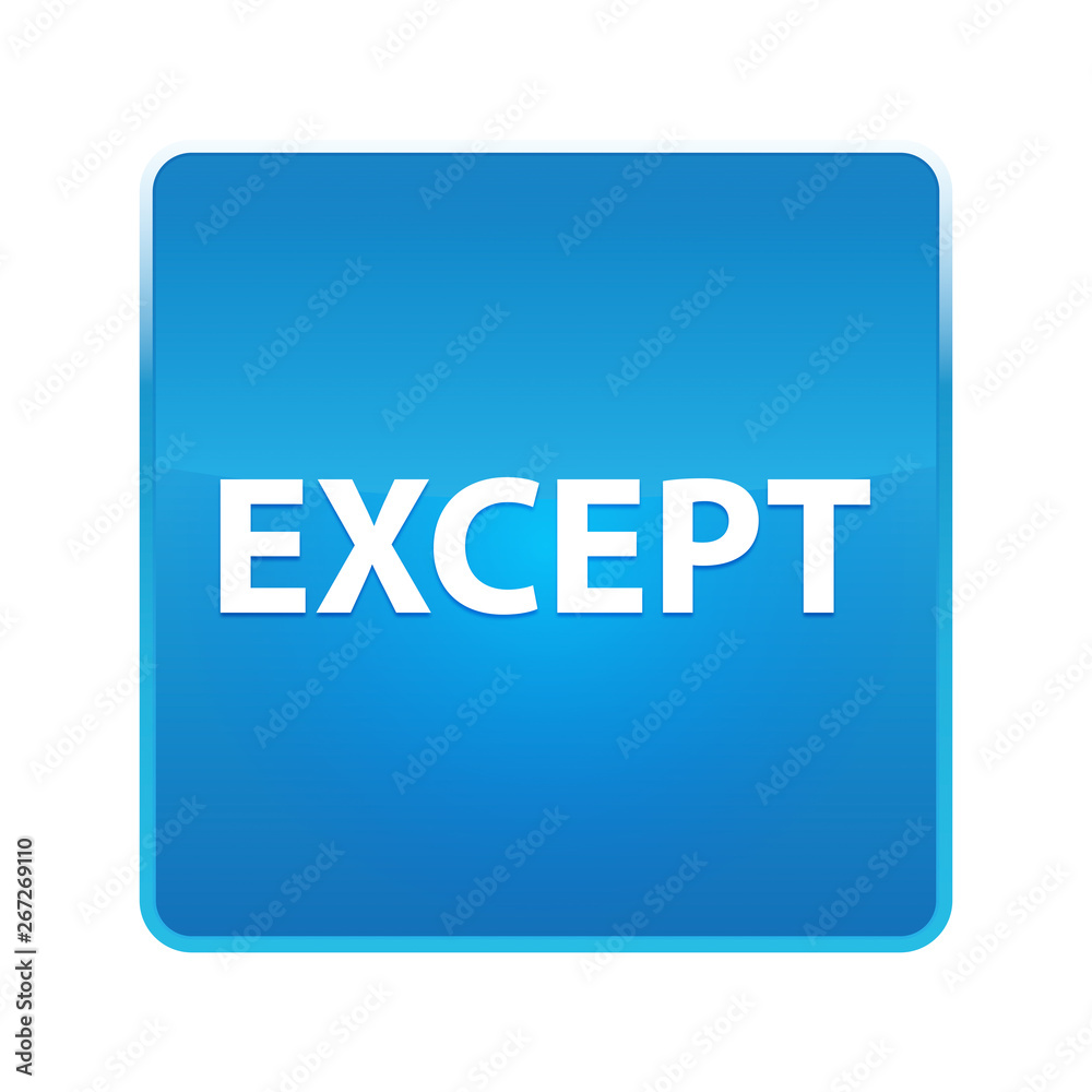 Except shiny blue square button Except shiny blue square button