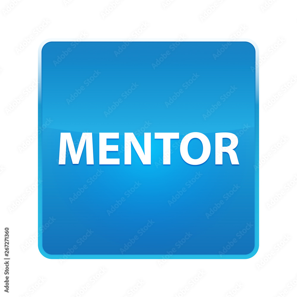 Mentor shiny blue square button Mentor shiny blue square button
