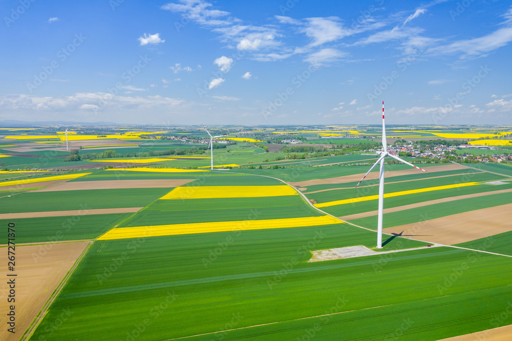 Aerial view of wind turbine. Rapeseed blooming. Windmills and yellow fields from above. Agricultural fields on a summer day. Renewable Energy.