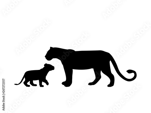 Lioness and lion cub predator black silhouette animal. Vector Illustrator.