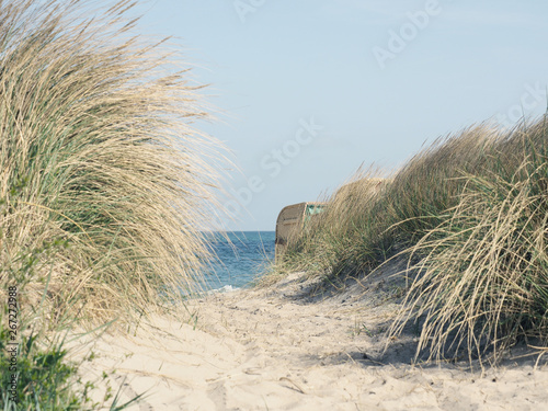 Pathway to the beach