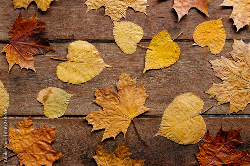 Autumn leaves on wooden background with copy space. Wallpaper for September 1.