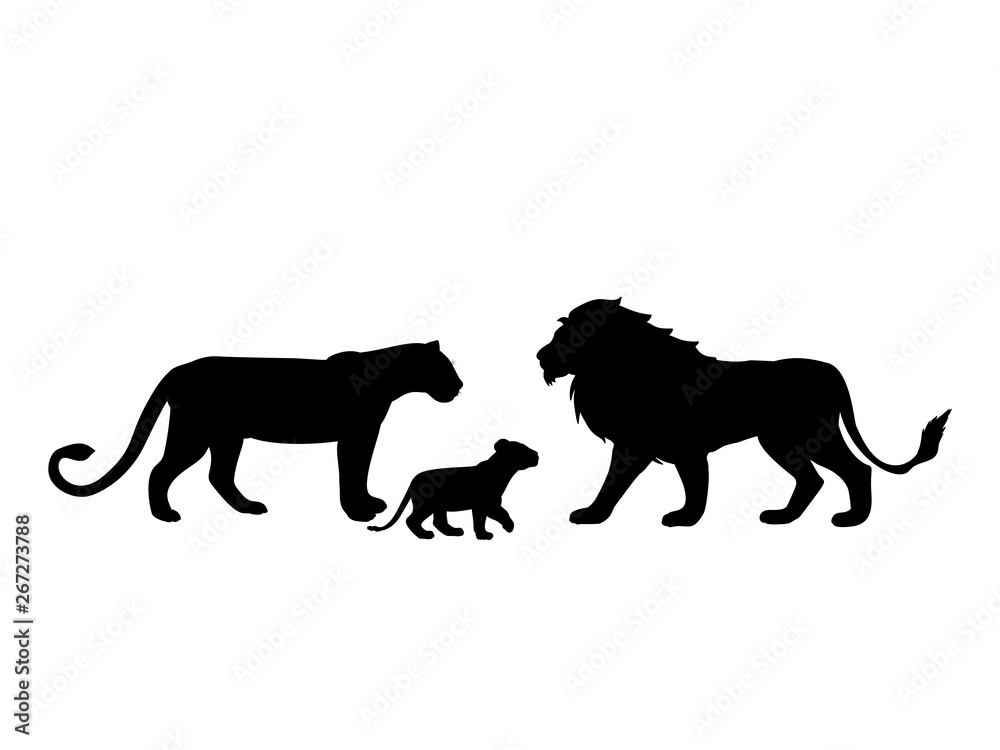 Lions family predator black silhouette animal. Vector Illustrator.