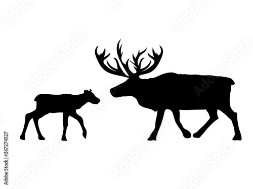 Deer northern and baby reindeer black silhouette animal. Vector Illustrator. © KozyrevaElena