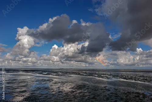 The bottom of the North sea (The walk to the island Neuwerk in  the North sea during low tide) photo