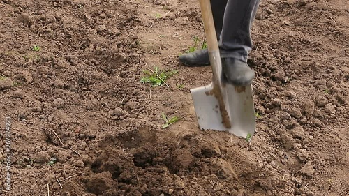 Farmer digging a shovel. Work in the garden cultivation, the concept of agriculture