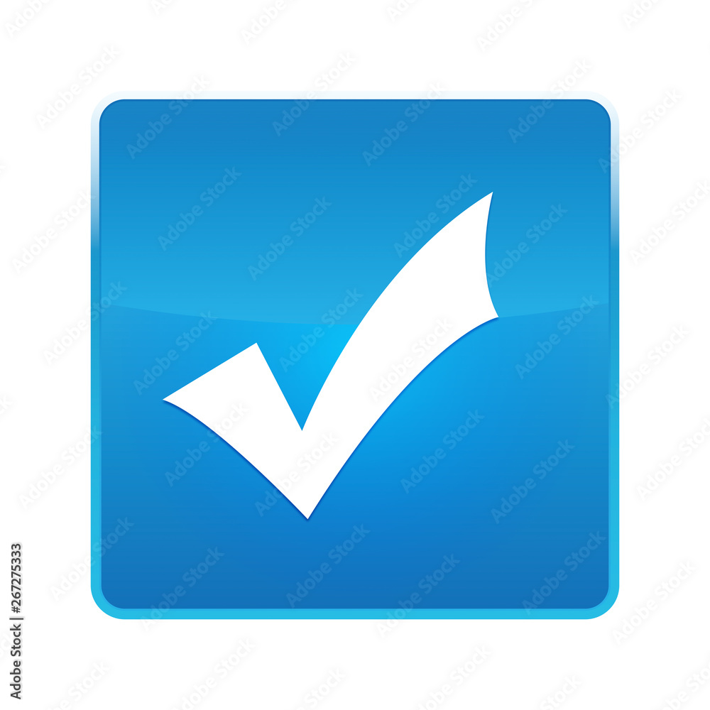Checkmark icon shiny blue square button Checkmark icon shiny blue square button