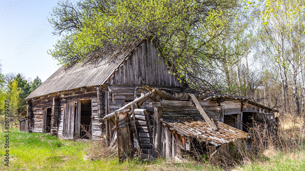 Abandoned little house in Belarus Chernobyl exclusion zone, recently opened for the public from april 2019. Abandoned little house in Belarus Chernobyl exclusion zone, recently opened for the public from april 2019.