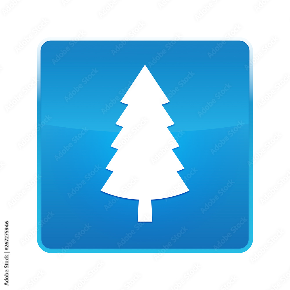 Obraz premium Evergreen conifer pine tree icon shiny blue square button