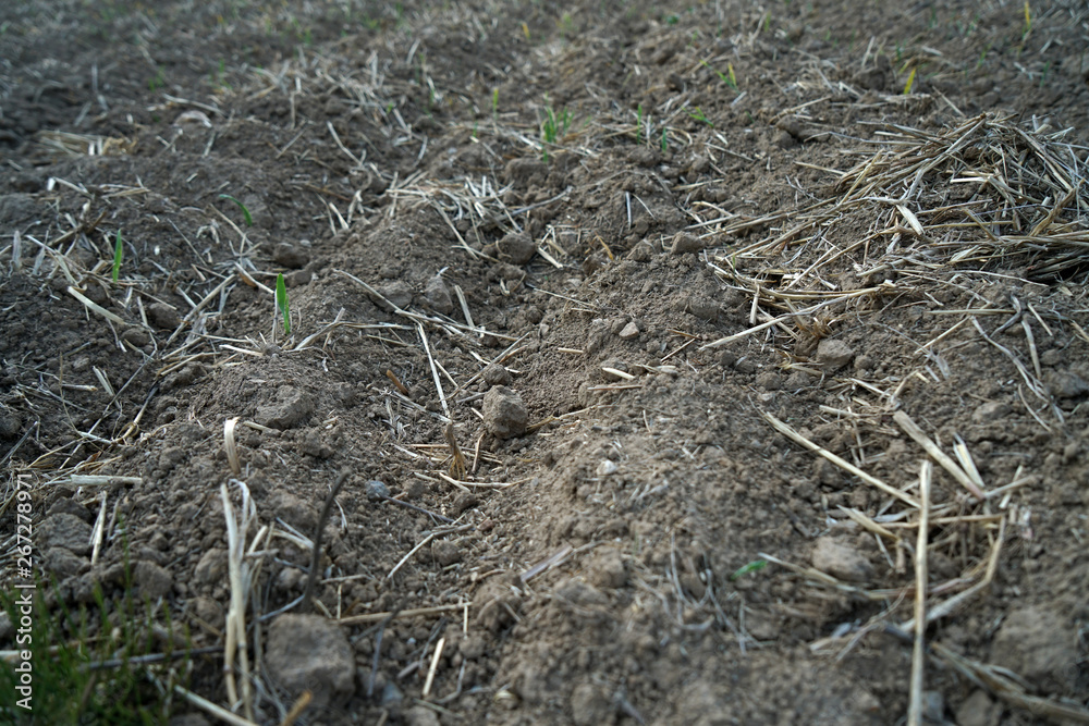 Lack of rainfall and climate change lead to dryness and drought at high temperatures Lack of rainfall and climate change lead to dryness and drought at high temperatures