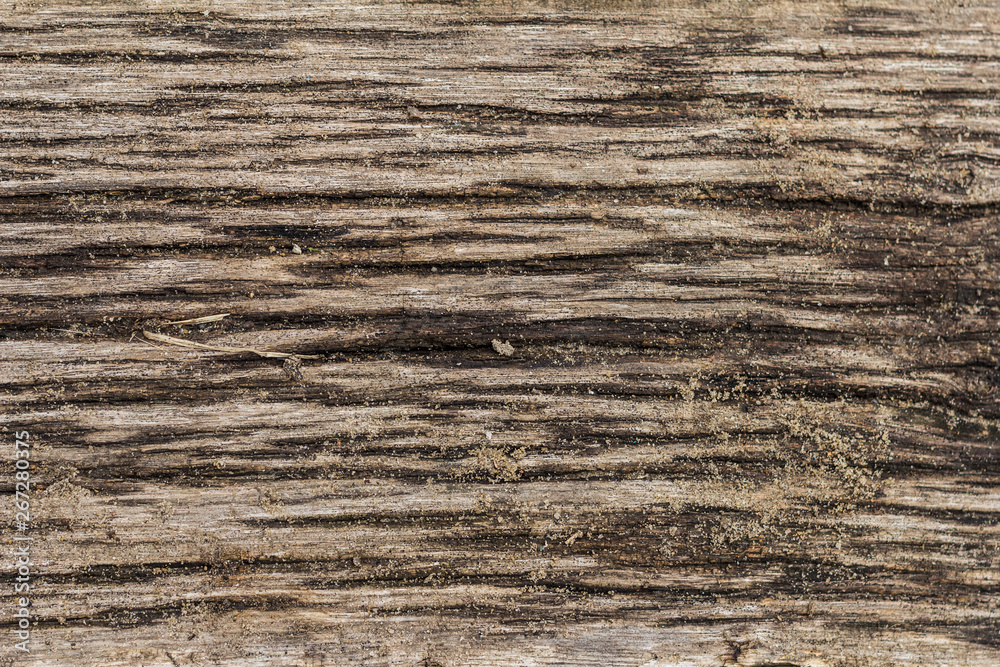 Texture wood scratches and cracks, background Texture wood scratches and cracks, background