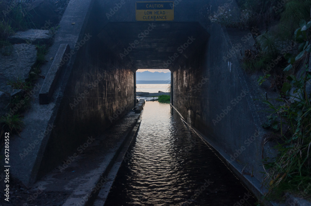 Obraz premium A tunnel in Meadowdale beach area
