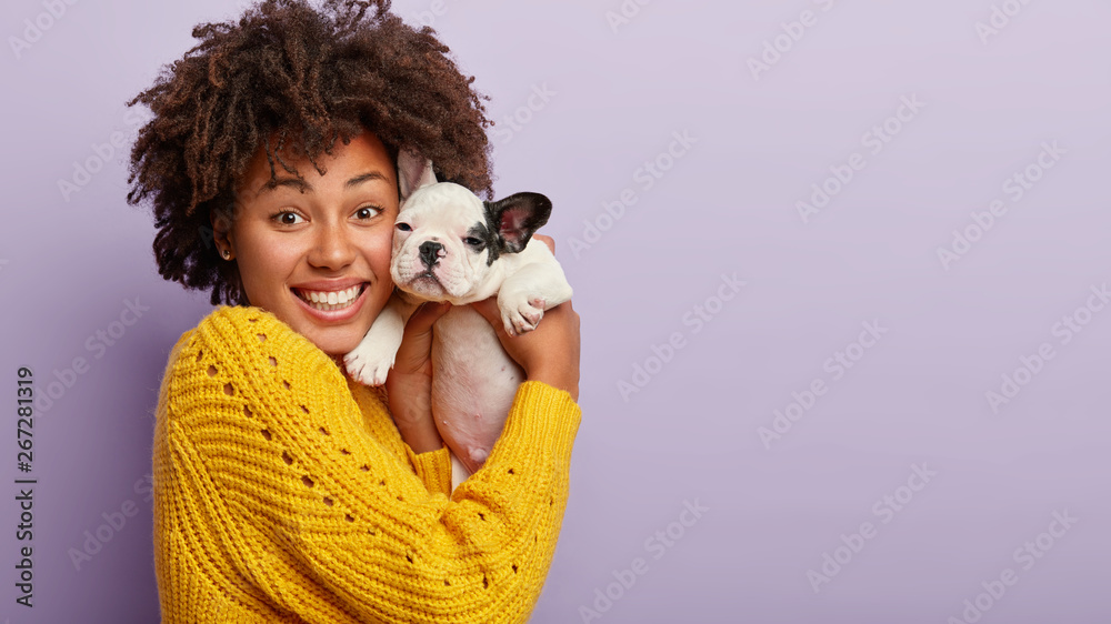 Portrait of happy woman glad to buy little pedigree dog, holds puppy near face, expresses happiness, enjoys photoshoot, plays with pet, models over purple background with copy space for text Portrait of happy woman glad to buy little pedigree dog, holds puppy near face, expresses happiness, enjoys photoshoot, plays with pet, models over purple background with copy space for text