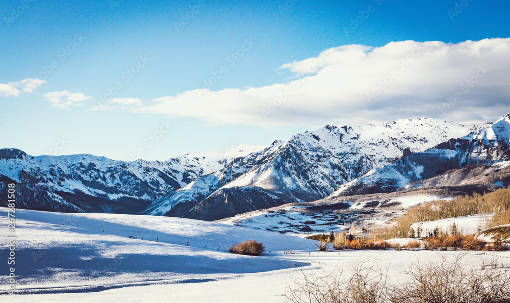 Snowy, winter scenic in nature with sun kissed Birch trees and wide open spaces in Colorado wilderness Snowy, winter scenic in nature with sun kissed Birch trees and wide open spaces in Colorado wilderness