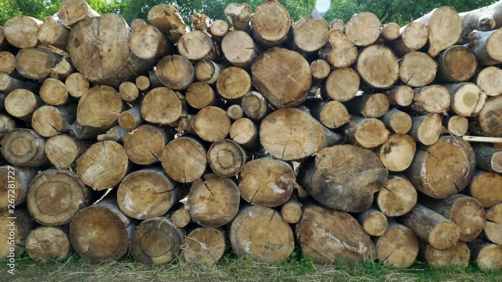 Chopped and sawn trunks of trees is stacked in a large log woodpile in the yard. 4K Chopped and sawn trunks of trees is stacked in a large log woodpile in the yard. 4K