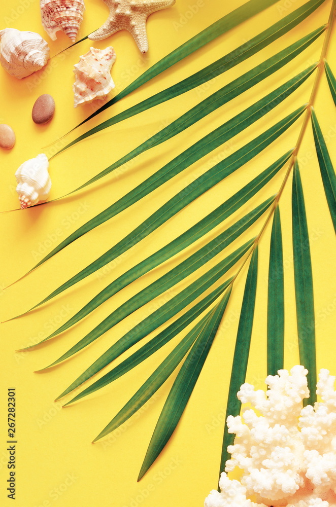 Summer vibes. Tropical palm leaf, seashells and starfish. Flat lay, top view - obrazy, fototapety, plakaty 