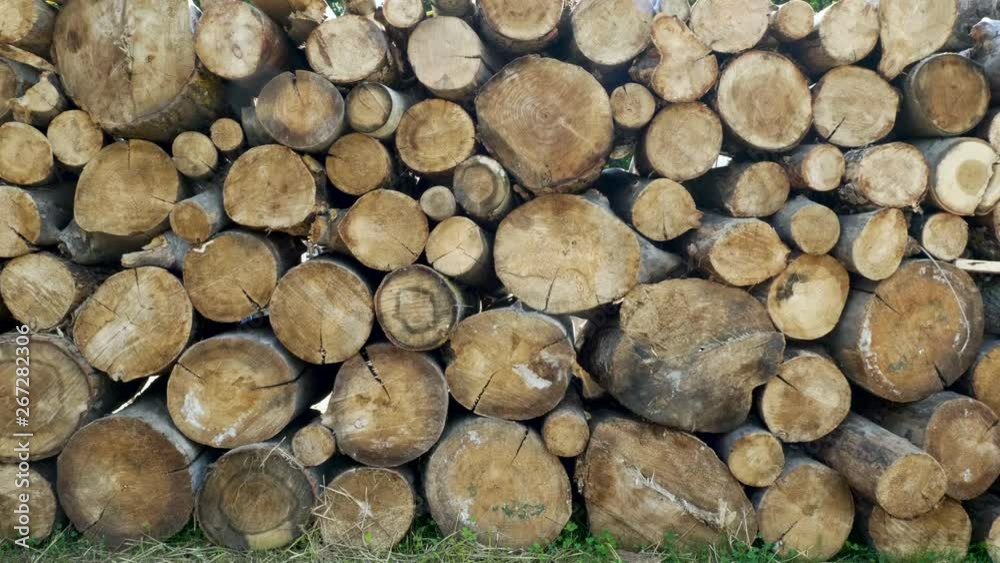 Chopped and sawn trunks of trees is stacked in a large log woodpile in the yard. 4K Chopped and sawn trunks of trees is stacked in a large log woodpile in the yard. 4K