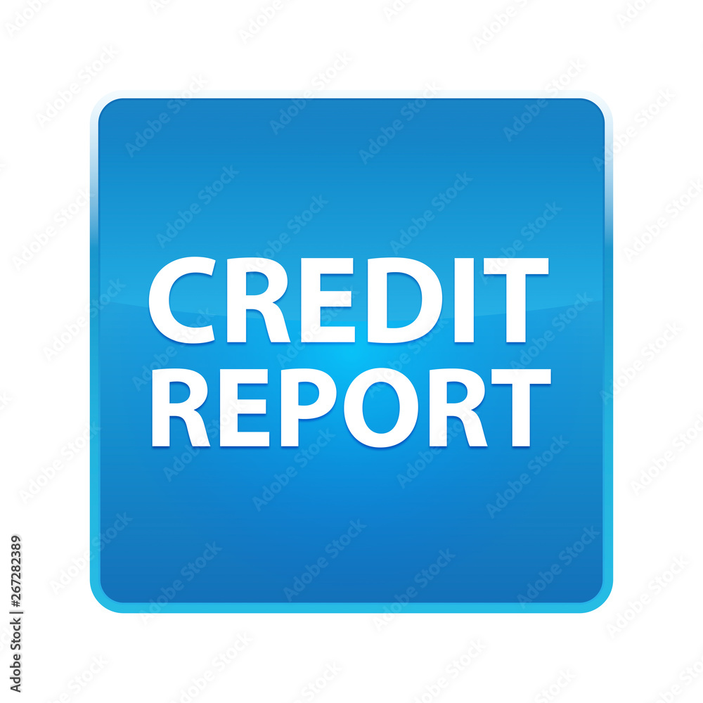 Credit Report shiny blue square button Credit Report shiny blue square button