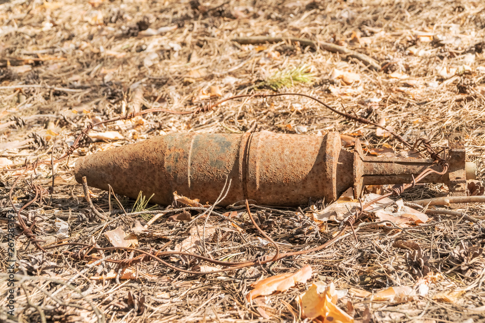 Obraz premium rusty unexploded bombs from the war