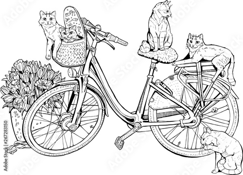Vintage bicycle with cats and flowers.