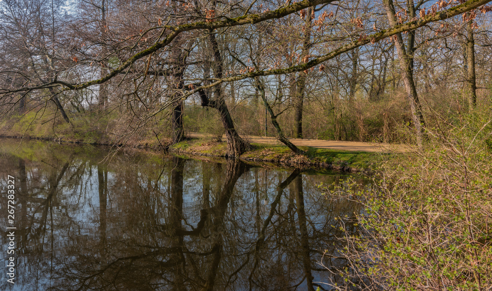 Spring sunny morning near Schwanenteich pond in Zwickau city Spring sunny morning near Schwanenteich pond in Zwickau city
