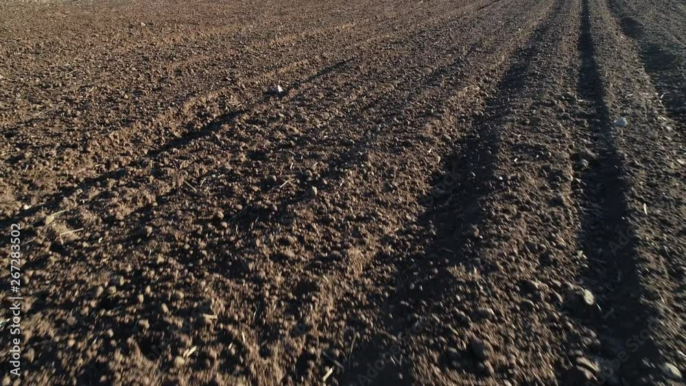 Drone clip of furrows row pattern in a plowed field prepared for planting crops in spring.