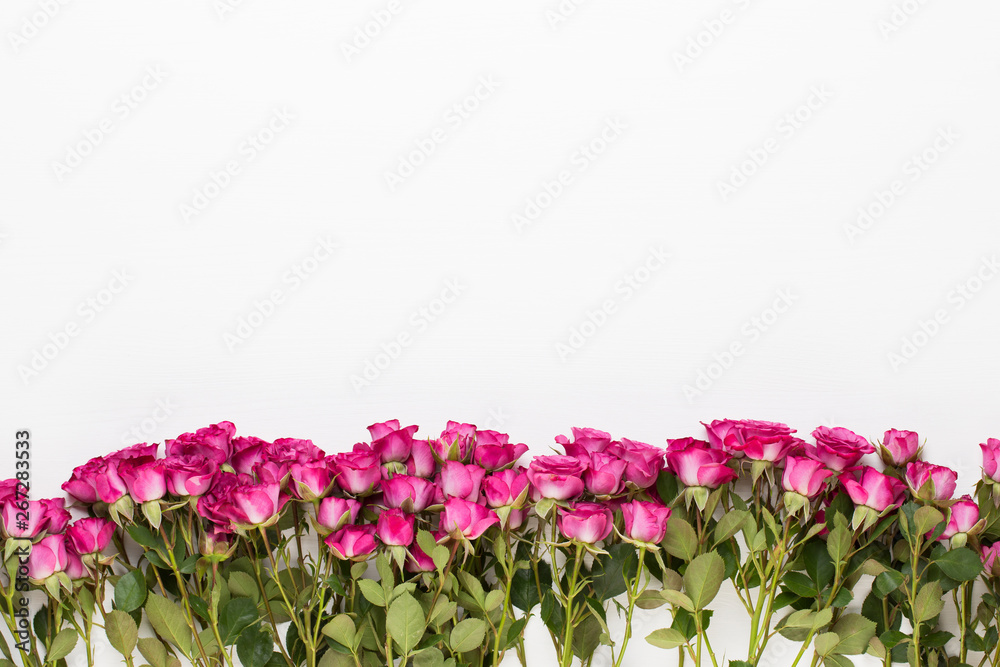Flowers composition. Frame made of red rose on white wooden background. Flat lay, top view, copy space.