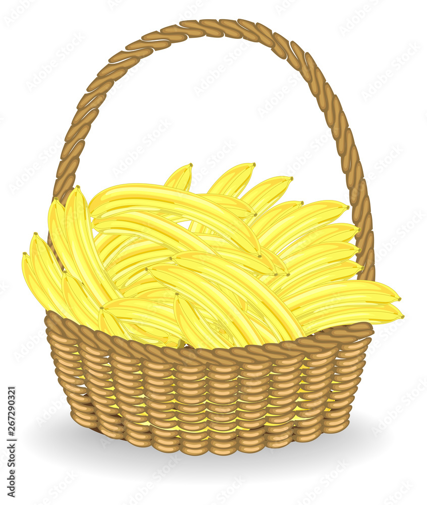 Collected a generous harvest. Basket full of ripe juicy fruit. Fresh bananas, a source of vitamins and pleasure. Vector illustration