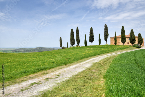 PIENZA  TUSCANY   ITALY - April 24  2018  tuscany landscape  farmland I Cipressini  italian cypress trees with rural white road in spring  green fields. Located in Siena countryside.