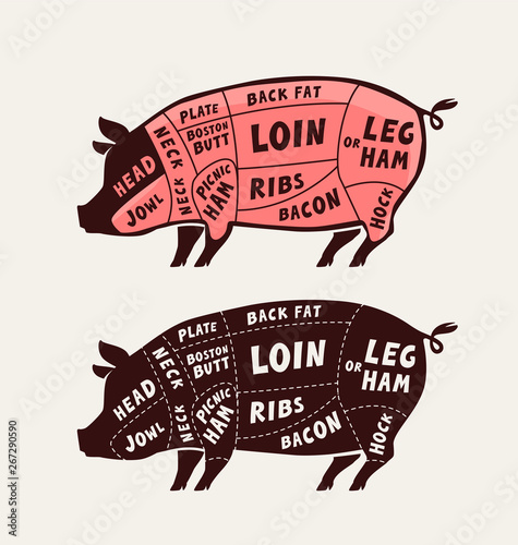 Cut of meat, pork. Poster butcher diagram and scheme. Pig vector illustration