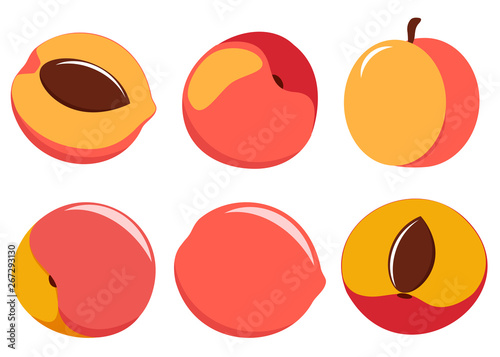 vector peaches on white background