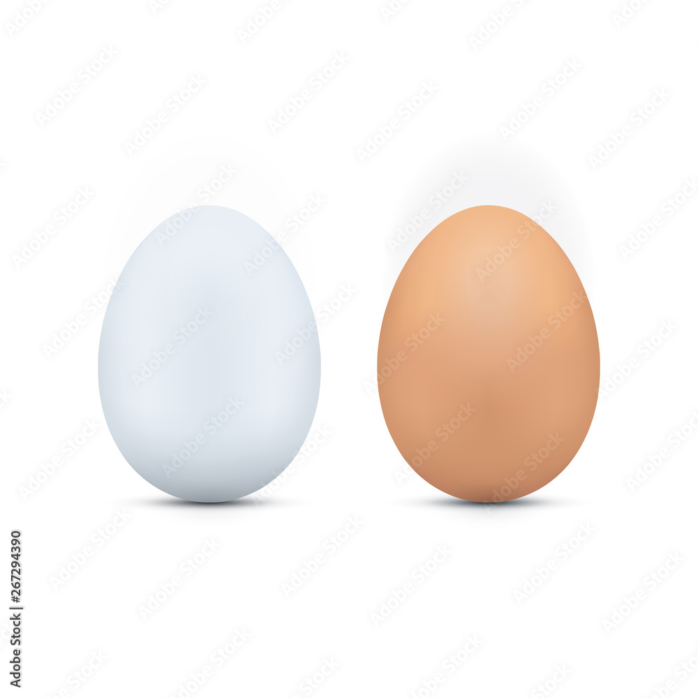 White and brown eggs icon White and brown eggs icon