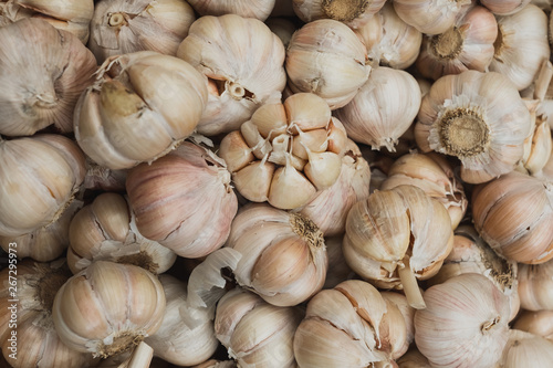 Close up  Garlic bunch in the market