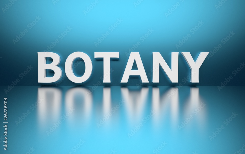 Word Botany