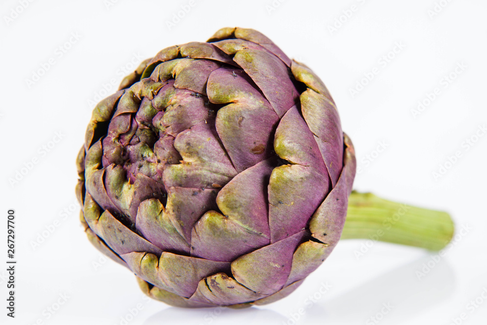 Obraz premium A single artichoke flower on a white background