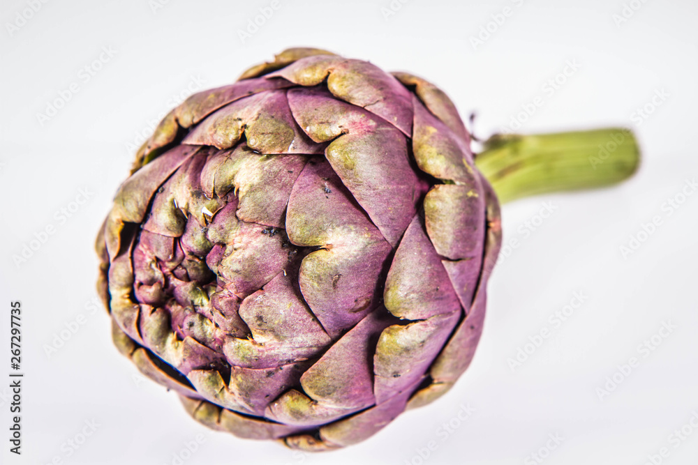 Obraz premium A single artichoke flower on a white background