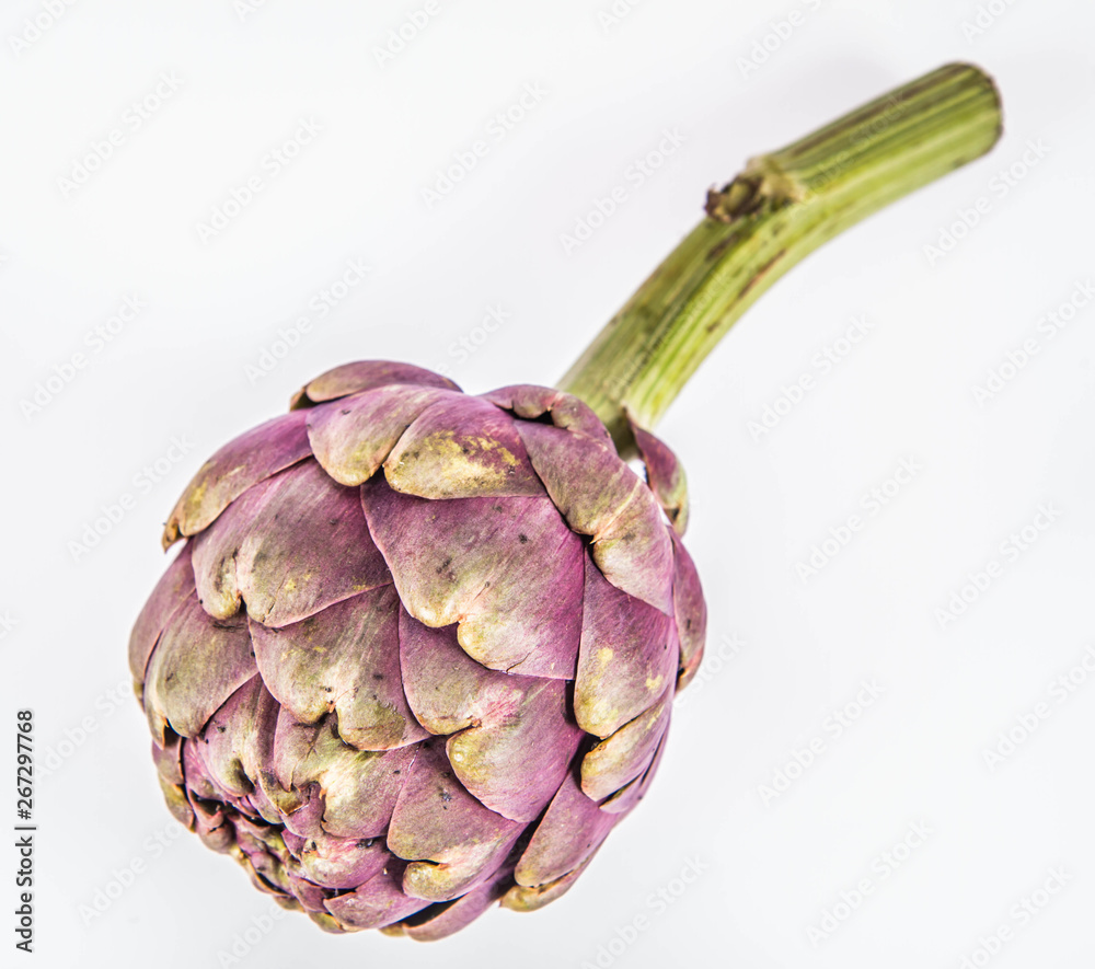 Obraz premium A single artichoke flower on a white background